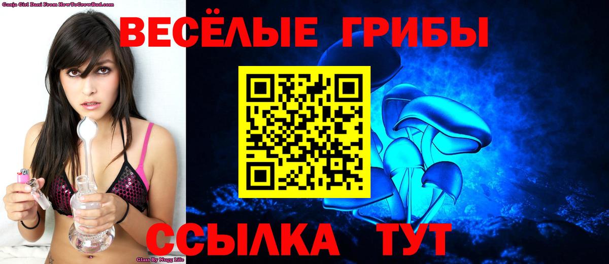 Галлюциногенные грибы Psilocybe Тверь